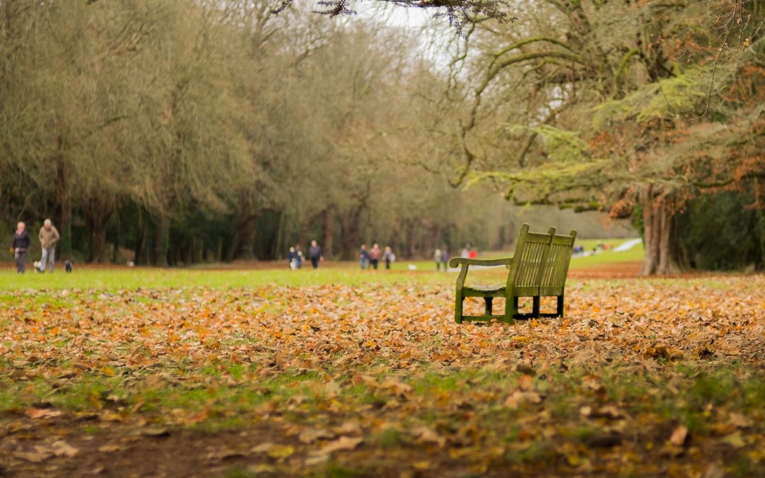 Explore Cheltenham